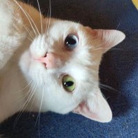 Bördsch (@bordsch) Twitter profile photo