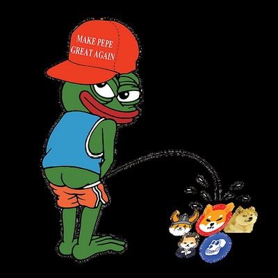 sa_grzegorz's profile picture. Suchy