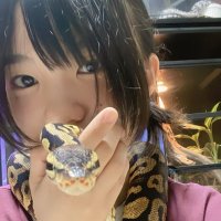mio (@mio_h14_0402) 's Twitter Profile