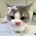 ปป : ꒰ ï ꒱ (@pwsppunpv) Twitter profile photo ปป : ꒰ ï ꒱ (@pwsppunpv) Twitter profile photo