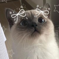 アントニオ (@k5b2k71840) 's Twitter Profile