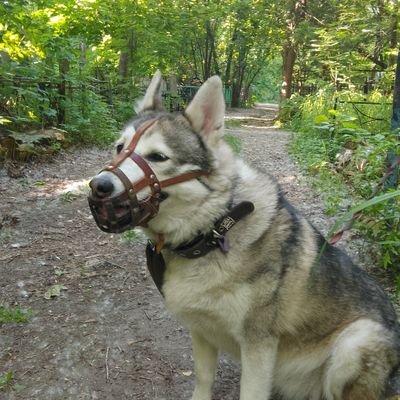 sveta_volk82615's profile picture. 