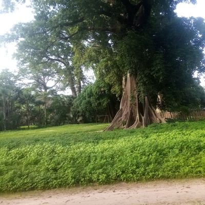 I love going to the bush to get firewood sometimes and take it to the market sell it and buy vegetables for my mummy and the little once
I love been with kids