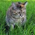 Hind (@septimazenobia) Twitter profile photo Hind (@septimazenobia) Twitter profile photo