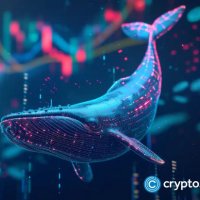 WhaleWatcher (@watcher105xx) 's Twitter Profile