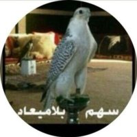 سهم بلاميعاد (@bilamiead511) 's Twitter Profile Photo