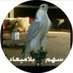 سهم بلاميعاد (@bilamiead511) Twitter profile photo سهم بلاميعاد (@bilamiead511) Twitter profile photo