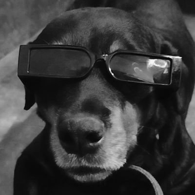 dawgfr03's profile picture. Don't take this account seriously