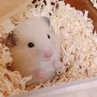 いないよ。さんのプロフィール画像