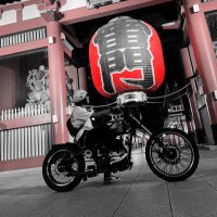 ベアパ (@bassapache13) 's Twitter Profile