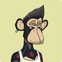 thejawsh.eth 🍌 (@thejawsheth) 's Twitter Profile