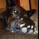 Michael jonas - @Ralph_Steadman - Twitter