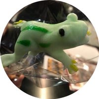 よんはち (@yonhaaaaachi) 's Twitter Profile