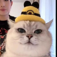 Holox (@holoxbh) 's Twitter Profile