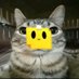 Саша (@saa1010315) Twitter profile photo Саша (@saa1010315) Twitter profile photo