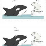 NatashaLew8908's profile picture. Living my best life… if my best life involves eating and napping.