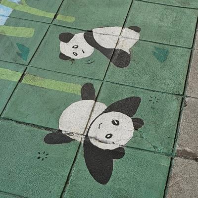 110_iio_110's profile picture. 東京で働いています