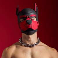 Hoppo the pupp (@hoppo_the_pupp) 's Twitter Profile Photo Hoppo the pupp (@hoppo_the_pupp) 's Twitter Profile Photo