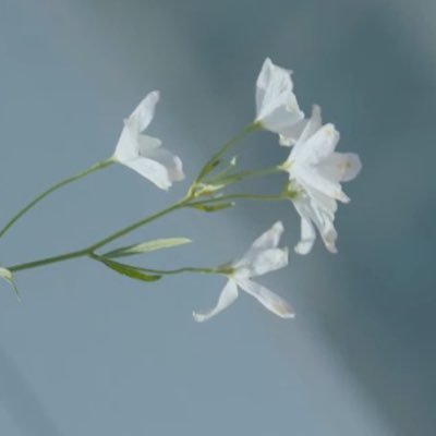ちくわさんのプロフィール画像