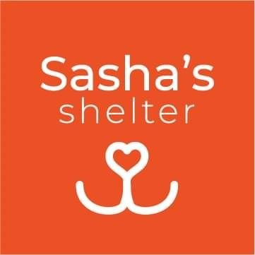 A shelter for over 750 abandoned dogs. Become a Patron for just $10 per month