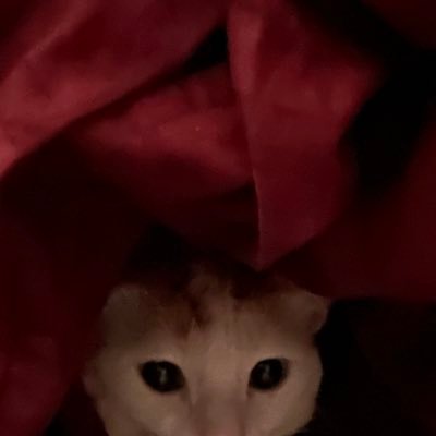 hadiuk1370's profile picture. Tolerance, forgiveness and helping hands... That means Love