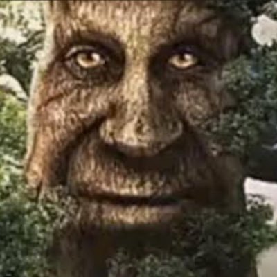 hitdaboof's profile picture. do I make an onlyfans