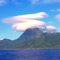 Taylor Chris (@taylor987chris) 's Twitter Profile Photo