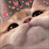 MI(R) bebito fiu fiu (@mir_bebito) 's Twitter Profile