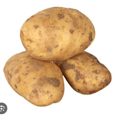 tudou5396's profile picture. 