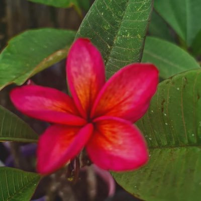 Harris911287356's profile picture. 