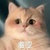 我不是同! (@uabsbbaba1799) Twitter profile photo 我不是同! (@uabsbbaba1799) Twitter profile photo