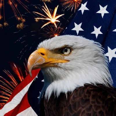 Retired, fun loving, a little on the crazy side.🤪 Proud Air Force brat who loves this country!!🇺🇲