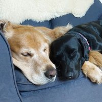 Steph & Hurly & Charlie πββοΈπ΄ββοΈπββοΈ ππ» (@stephyhulf) 's Twitter Profile