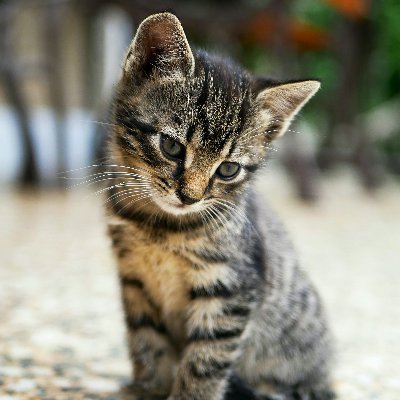 penebarhumor's profile picture. массажист