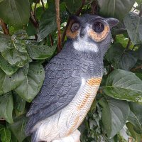 Jac 🇫🇷☮️🌌🎗️ (@jac33233372289) 's Twitter Profile