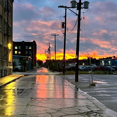 exegoeszip's profile picture. Raccoon on acid.