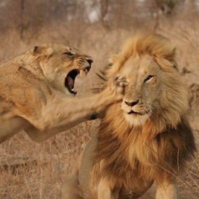 PeterParkerr189's profile picture. 