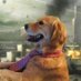 WIDE DOG (@widedogart) Twitter profile photo WIDE DOG (@widedogart) Twitter profile photo
