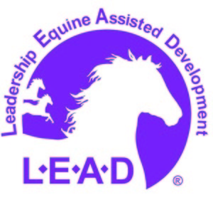 LeadershipEAD's profile picture. Using HorsePower to Transforming the professional & personal arenas of your life. Leadership, Teambuilding, Coaching, Workshops & Retreats