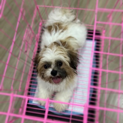 aeranraaan's profile picture. 