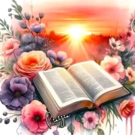 Charnett323490's profile picture. What you see is what you get