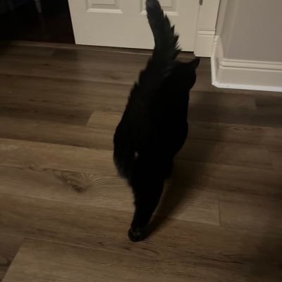 ac198852's profile picture. 