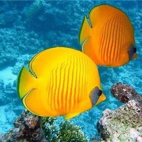 nono46964949829's profile picture. 会社社長/投資家/資産家。ビジネス失敗後、再チャレンジし数社を経営。今はおトク情報をお伝えしたり、自身がお金に苦労した経験から生活に困っている方を助けたいと思い、少額ですが現金プレゼント企画を実施中★ 詳細はこちらから▶https://t.co/mPMmi2maGp