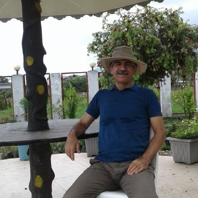 sociallogist, journalist, &being,meaning seeing