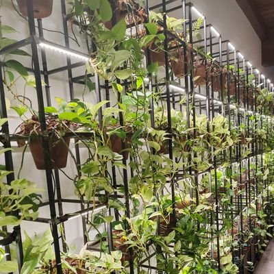 OmosorHenry's profile picture. United forever 🔴