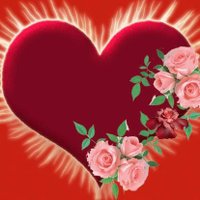 ابو معتز المعازى (@mtza222) 's Twitter Profile