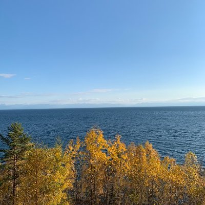 AleksHenderson's profile picture. 