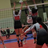 Addison Whaley (@addisonwhaley1) 's Twitter Profile