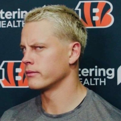 johnappleseed - master dog-petter, @bengals, political memes, architecture, graphics n stuffs | @onerepublic | Biz: mail.gabrutaquio@gmail.com