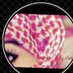 ุขุณูู
ูุขุก (@mmdly34751045) Twitter profile photo ุขุณูู
ูุขุก (@mmdly34751045) Twitter profile photo